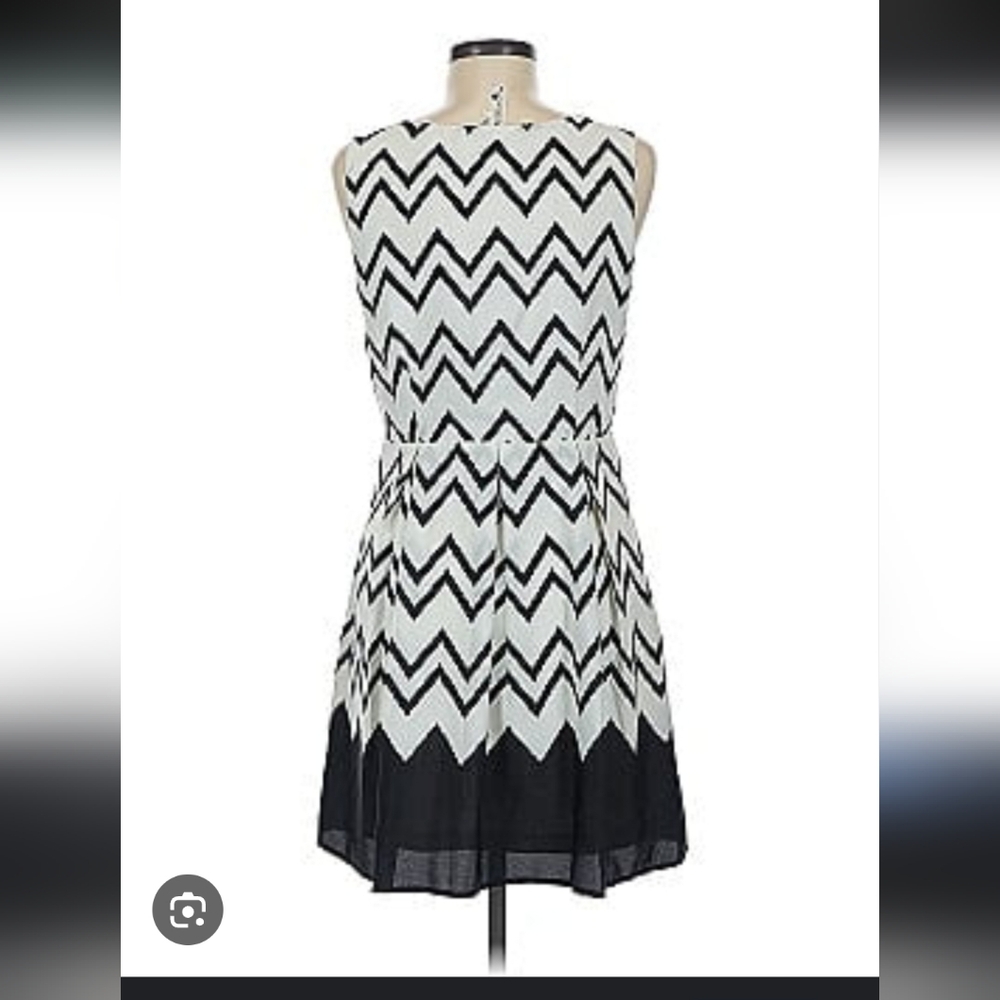 Pink Owl Black‎ and White Chevron Mini Dress